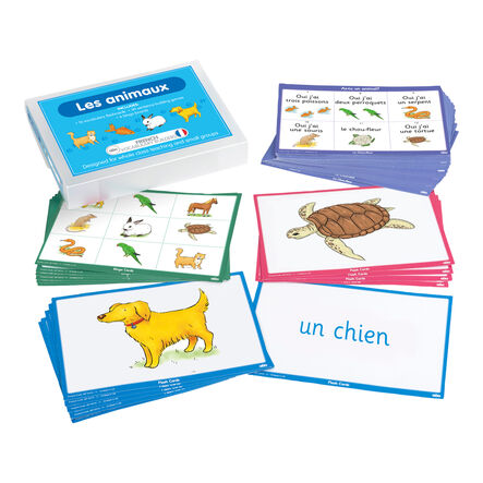 TTS French Classroom Objects Vocabulary Activity Cards  hi\-res