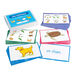 TTS French Classroom Objects Vocabulary Activity Cards  hi\-res