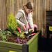 First Tools Children’s Gardening Hand Tool Set  hi\-res