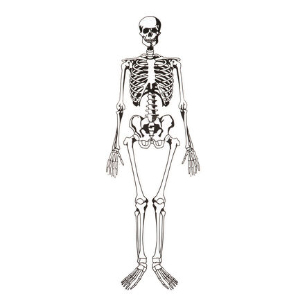 Learning Resources Foam Skeleton Floor Puzzle  hi\-res