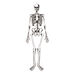 Learning Resources Foam Skeleton Floor Puzzle  hi\-res