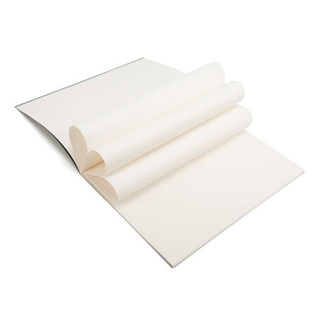 Pisces Laminated Stapled Sketchbooks A4 100gsm 36pk Green Green hi\-res