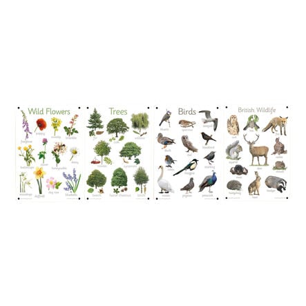 Nature Outdoor Learning Boards 4pk  hi\-res