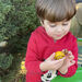 Yellow Door Small World Sensory Stone Insect 12pc  hi\-res