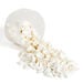 White Seashells 2.5l  hi\-res