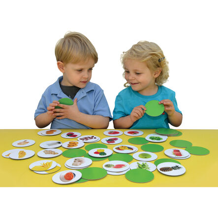 Healthy Foods Matching Cards 56pk  hi\-res