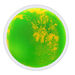 Round Shape Liquid Floor Tiles 4pk  hi\-res