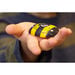Honey Bee Number Stones  hi\-res