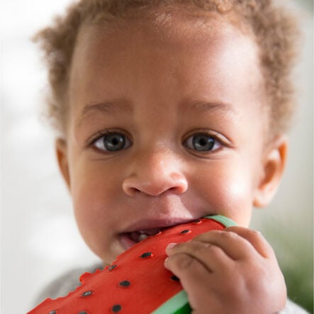 Natural Rubber Toddler Fruit and Veg Chewables  hi\-res