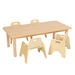 Essentials Table Rectangular Beech Top 300mm  hi\-res