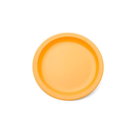 Polycarbonate Side Plates 170mm  hi\-res