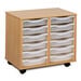 Mobile Tray Storage Unit With 12 Shallow Trays  hi\-res