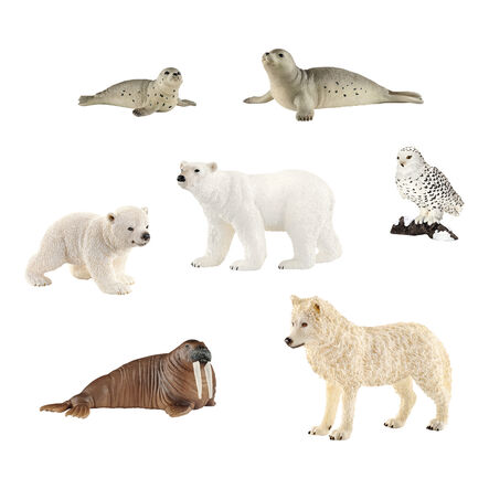 Parent and Baby Arctic and Antarctic Animal Collection  hi\-res