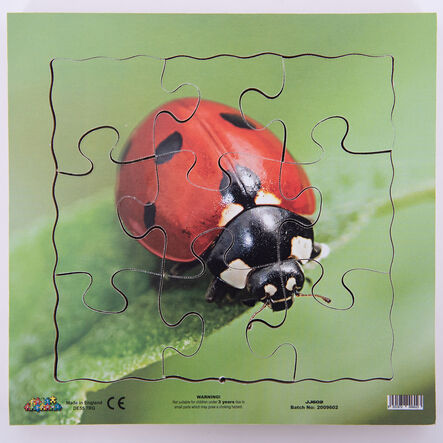Insect Layered Life Cycle Jigsaws 4pk  hi\-res
