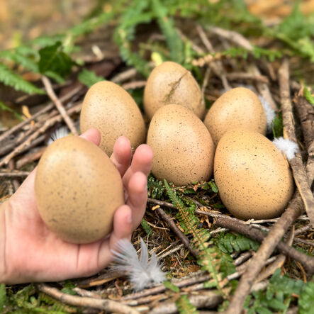 Yellow Door Sensory Calming Kit  hi\-res