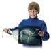 What\'s Inside Animals? A4 Picture Cards  hi\-res