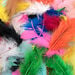 Brightly Coloured Feathers 28g  hi\-res