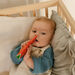 Natural Rubber Toddler Fruit and Veg Chewables  hi\-res
