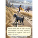 That Dog! Decodable Phonics Book Pack 12pk  hi\-res