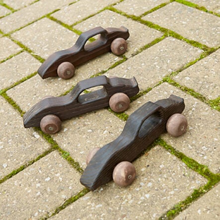 TTS Outdoor Wooden Racing Cars 10pk  hi\-res