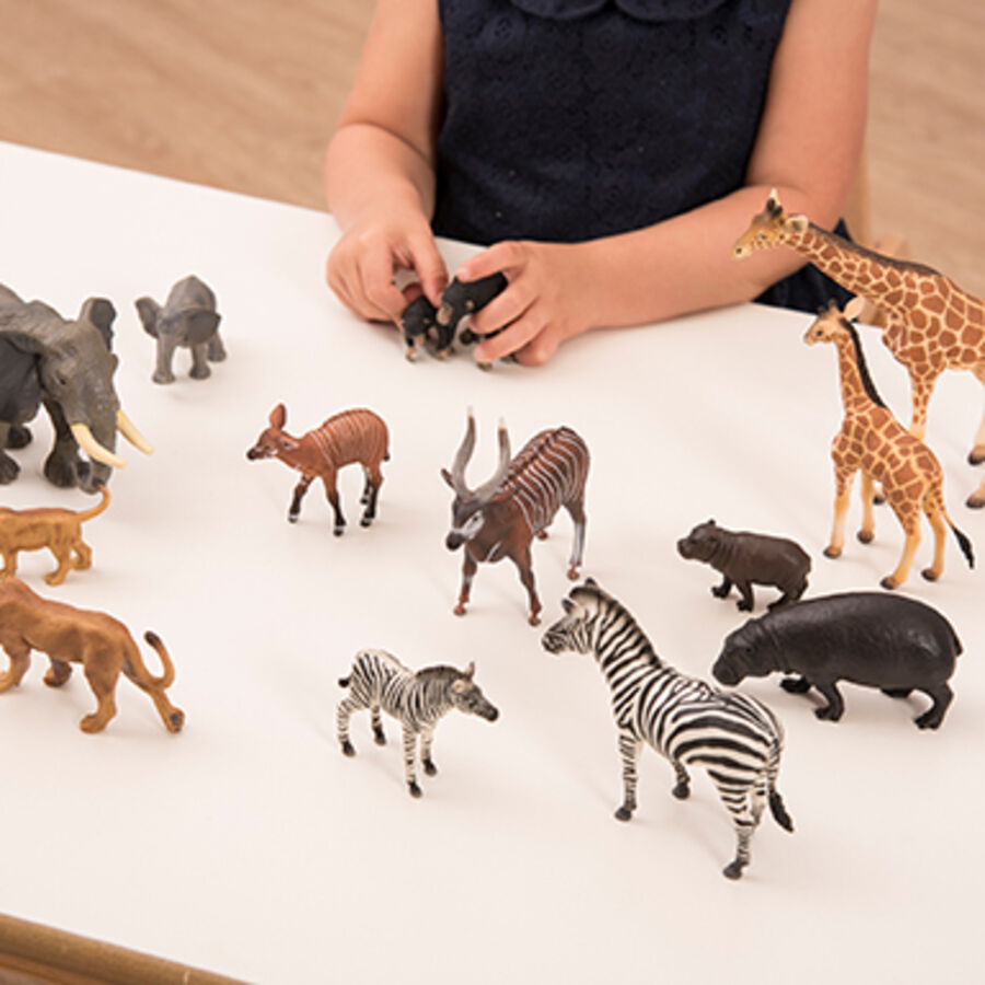 THE HUMAN FIGURE ・ANIMALS 2冊セット African Animals and Their Young Set 14pcs | Animals, Dinosaurs