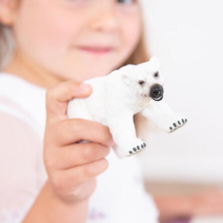 Parent and Baby Arctic and Antarctic Animal Collection  hi\-res