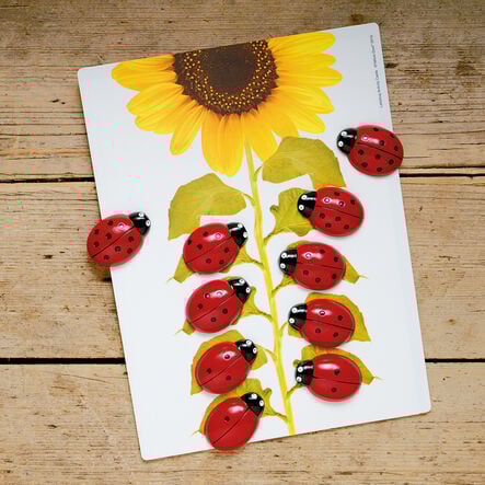 Ladybird Counters and Cards  hi\-res