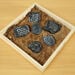 Sensory Fossil Replica Set 6pcs  hi\-res