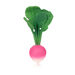 Natural Rubber Toddler Fruit and Veg Chewables  hi\-res