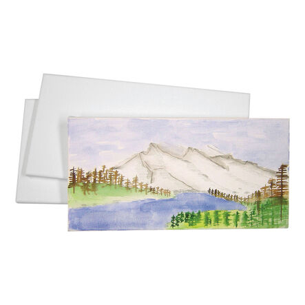 Stretched Art Canvas 5pk  hi\-res