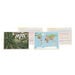 Thinking... Maps and Mapping Skills Cards  hi\-res