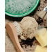 Let\'s Investigate Fossils  hi\-res