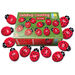 Ladybugs Counting Stones 22pk  hi\-res