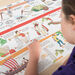 TTS Stone Age to 1066 Timeline  hi\-res