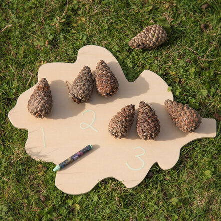 TTS Wooden Leaf Mark Making Boards with Stand  hi\-res