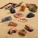 Sand Play Ancient Fossil Replicas 10pcs  hi\-res
