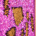 TTS Mark Making Sequin Long Boards  hi\-res