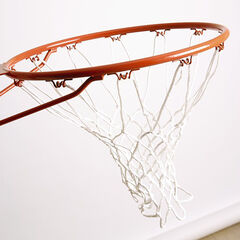 Wall Mounted Basketball Hoop and Net  Wall Mounted Basketball Hoop and Net  hi-res