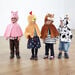 Role Play Dressing Up Animal Capes 4pk  hi\-res