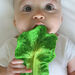 Natural Rubber Toddler Fruit \x26 Veg Chewables  hi\-res