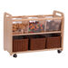 Wooden Clearview Browser W\/ Castors  hi\-res