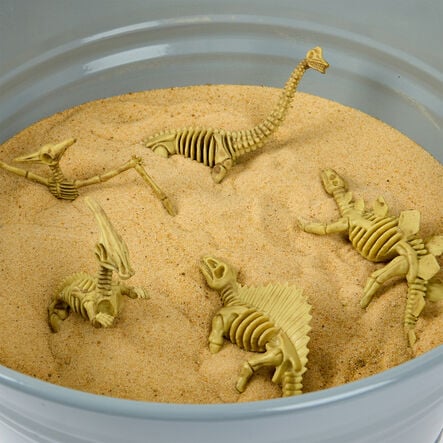 Small World Skeleton Fossil Dinosaurs 12pk  hi\-res