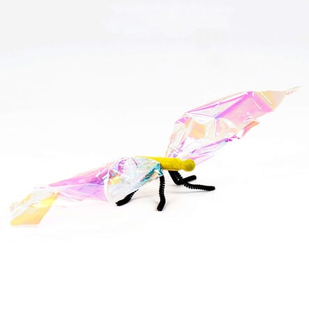 Dolly Pegs 24pk  hi\-res