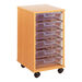 Crystal Clear Mobile Tray Unit with 32 Shallow Trays  hi\-res