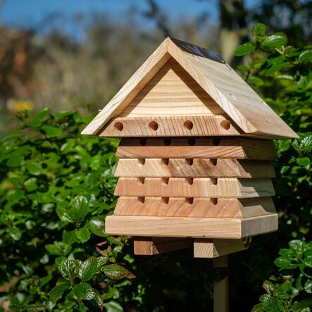 Solitary Bee flip Top Hive  hi\-res