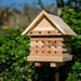 Solitary Bee flip Top Hive  hi\-res