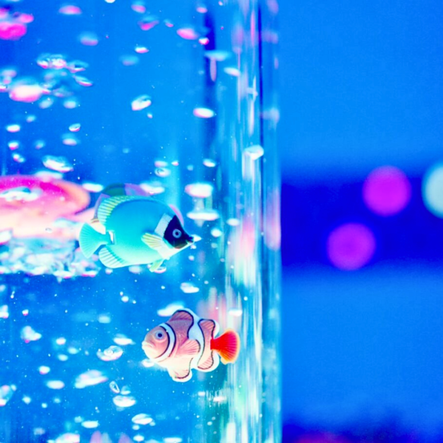 Bubble Tube 105cm  hi\-res