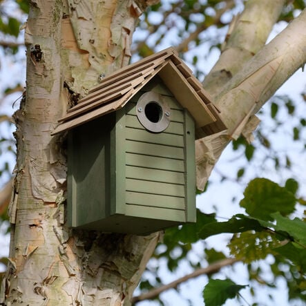 Bird Box  hi\-res