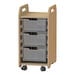 1 Column Tray Storage Unit W\/ 3 Deep Translucent Trays  hi\-res