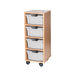 Mobile Single Tray Storage Unit 4 Deep  hi\-res